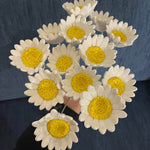 Waiting list flowers please leave a note of which flowers