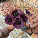 1x purple sculpted Ceramic Poppy