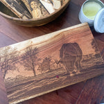Custom Boards