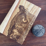 Wise Owl 300mm  by 200mm