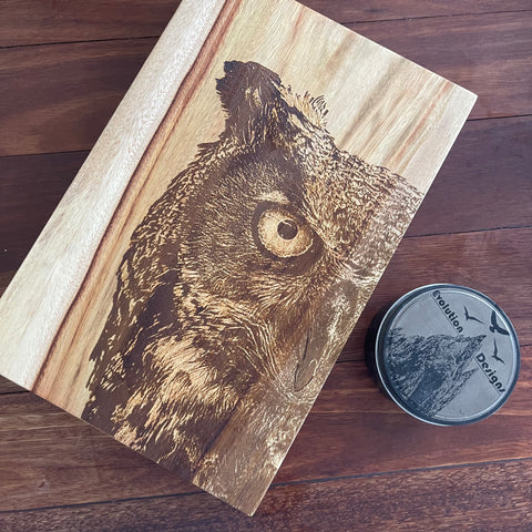 Wise Owl 300mm  by 200mm