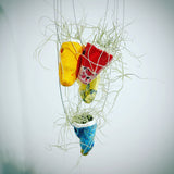 Small hand sculpted hanging pot with Spanish moss
